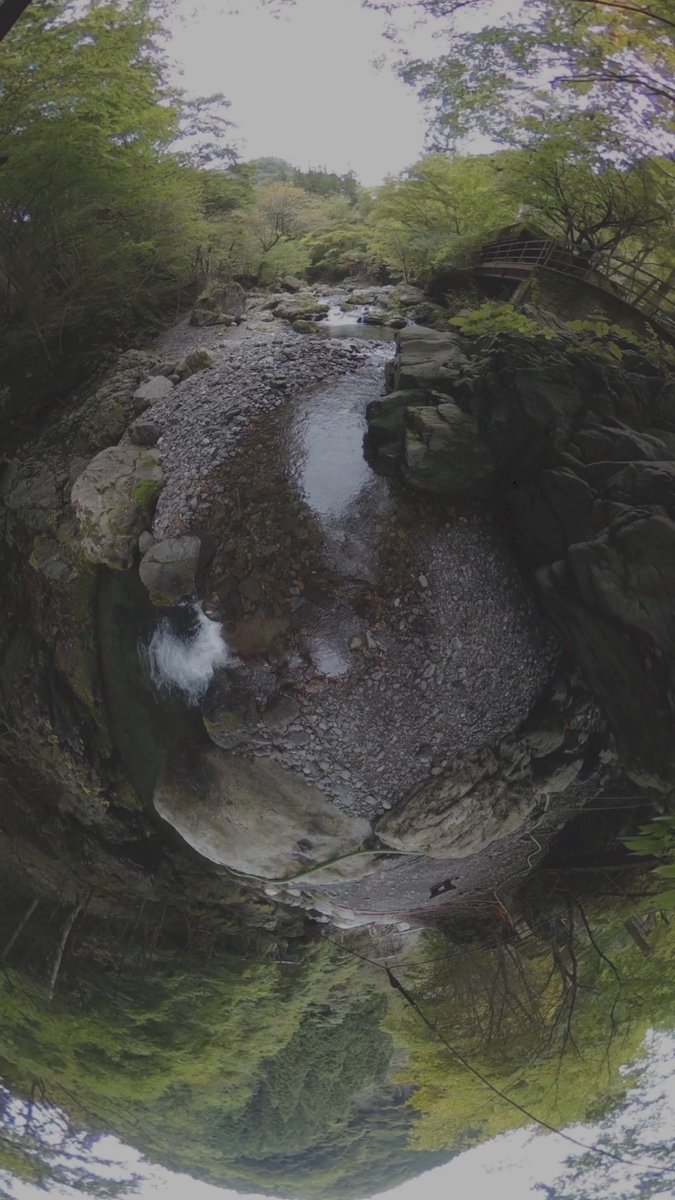YusukeGoto_'s tweet photo. 電波がない山奥

埼玉県秩父市大血川渓谷

#VR #VRカメラ #THETA #THETA360 #360 #360camera #360photo #360view #ricohtheta #littleplanet #photo360 #tinyearth360 #tinyplanetbuff #360photography #photosphere https://t.co/iKqfmxl55I
