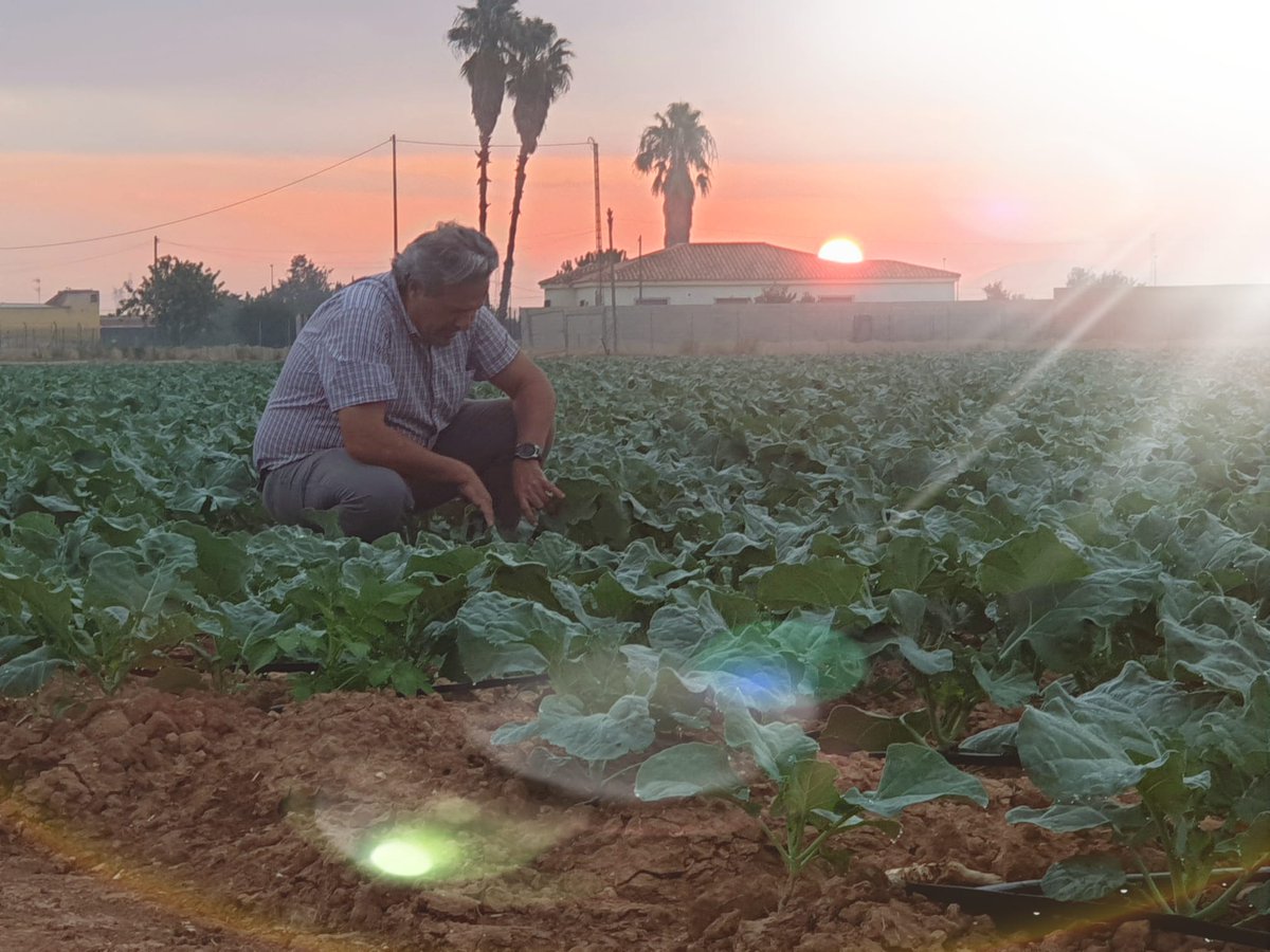 Desde el amanecer🌄INNOVABIO by <a href="/TimacAGROEspana/">Timac AGRO España</a>  ayudando al agricultor a crecer.
 
#AgriculturaEcológica🤝#INNOVABIO

🏪Todos los productos INNOVABIO de venta en <a href="/DQAgro/">dqagro 🌱</a> 

👉🏼  acortar.link/MEgYrN