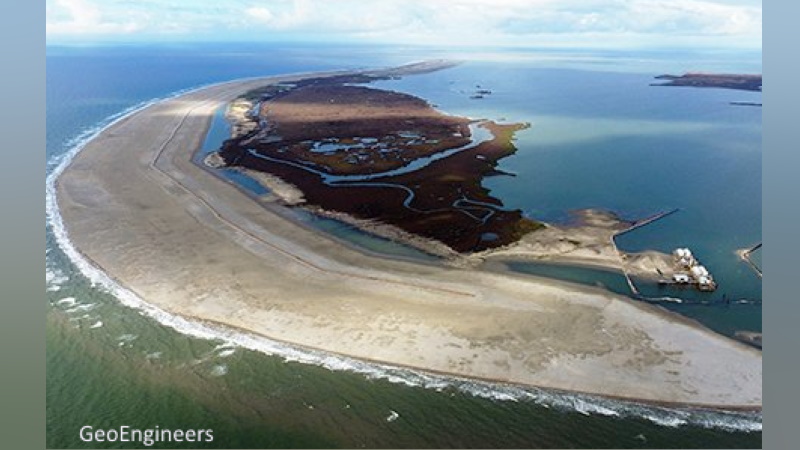 WBRZ's tweet image. New oyster reef in Caillou Lake, Louisiana
wbrz.com/news/new-oyste…