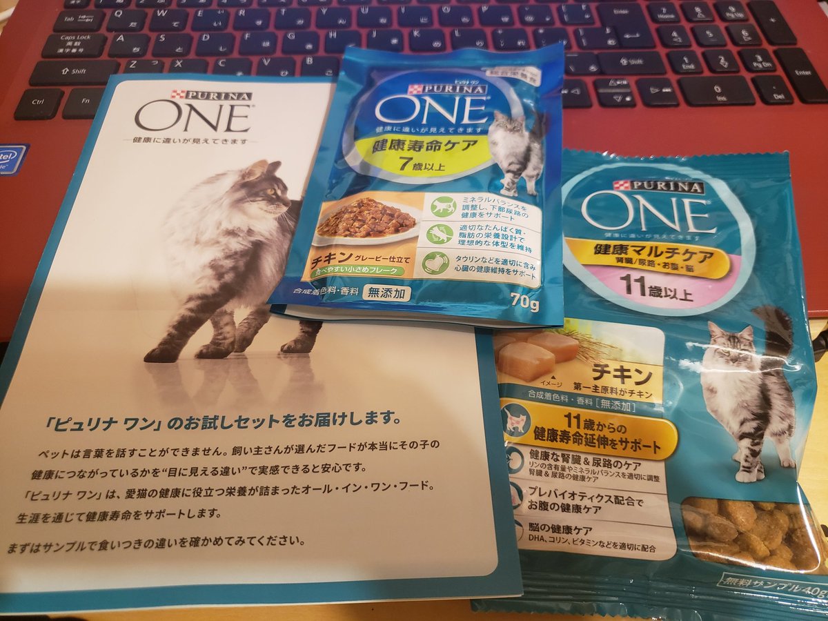 Top Tweets For ピュリナワン Twstalker