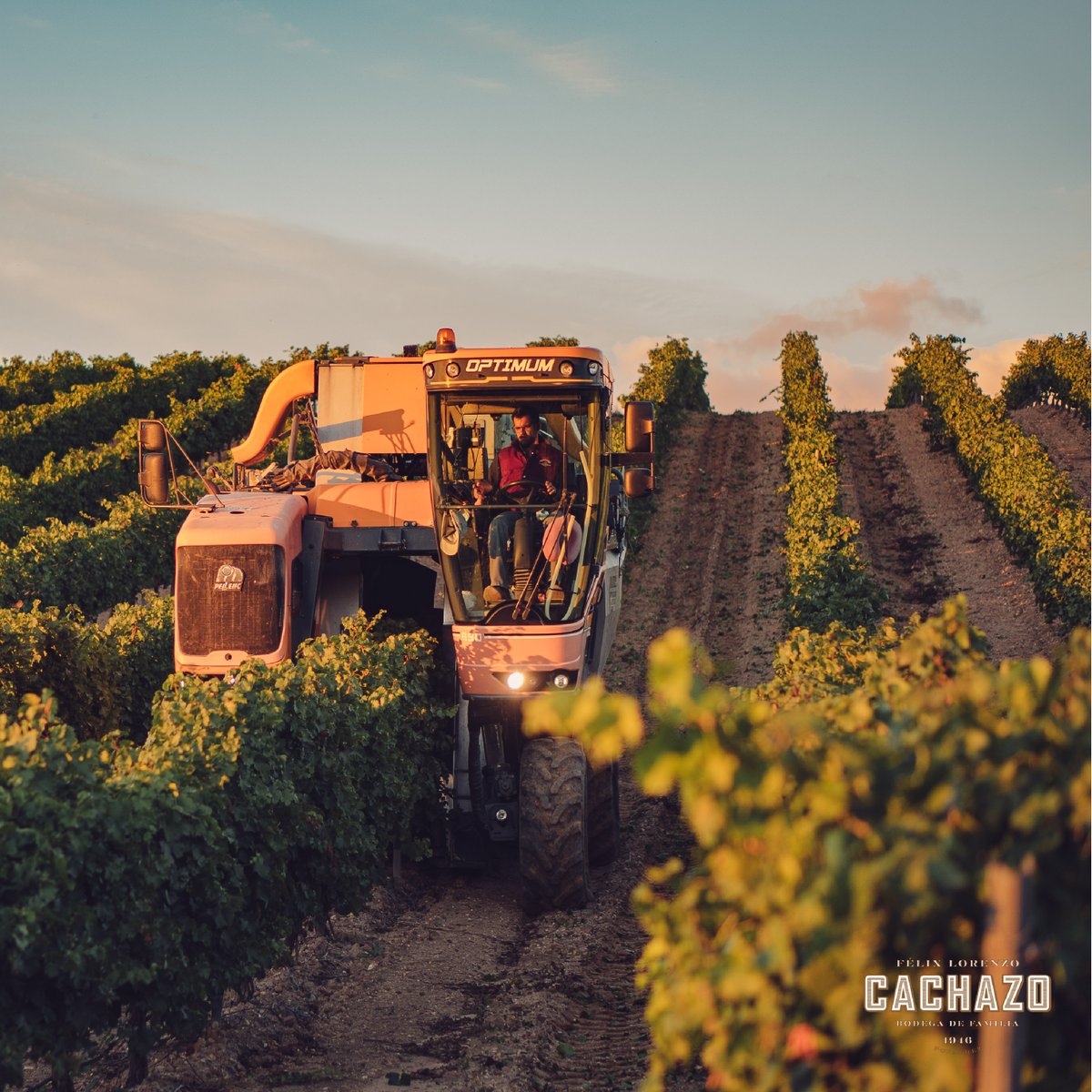 Bodegas Félix Lorenzo Cachazo tweet media