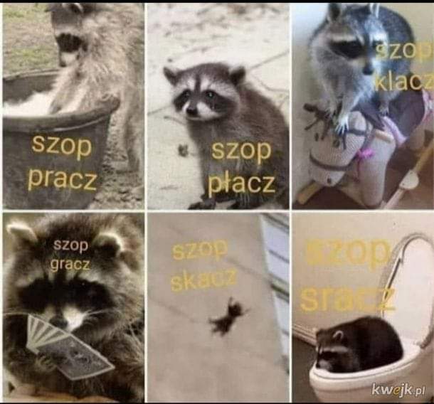 gownoposting tweet picture