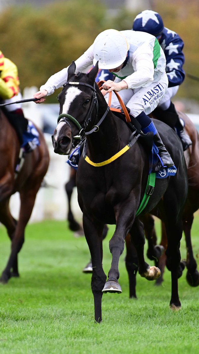 Goffs1866's tweet photo. 𝙀𝙇𝙔𝙎𝙄𝙐𝙈 ✨
Autumn Yearling 🎓 𝙀𝙇𝙔𝙎𝙄𝙐𝙈 won yesterday’s @IrishEBF_ Listed Garnet Stks at @NaasRacecourse
The €15,000 find by @noelmeaderacing from Stanley Lodge is also a G3 winning 2yo
Another example of the #QualityAndValue on offer at Goffs Autumn Yearlings https://t.co/5WovokmEjo
