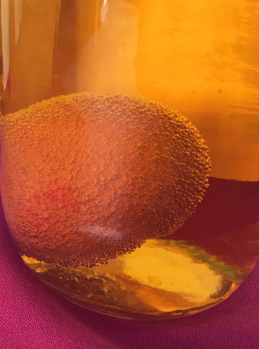 futurecaregroup's tweet image. As part of our celebrations for World Egg Day, the Residents of Oaklands joined in with our crazy Bouncing Egg “Eggsperiment”. 
Not all were successful, however, 5 out of 6 eggs bounced with only 1 failing and splattering on the tray!
🥚💜
#worldeggday #bouncyegg #experiment