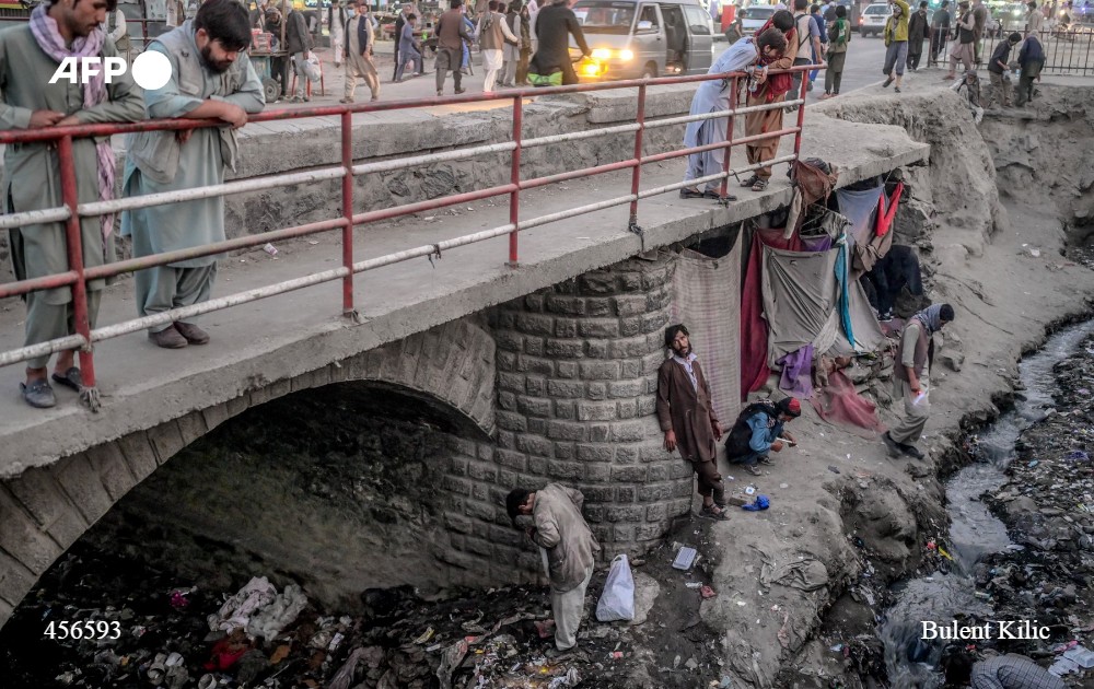 James Edgar tweet media