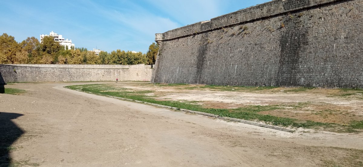 dut1977's tweet photo. Vengo de la ciudadela con muchas ganas de llorar. El estropicio es bastante mayor al que pensaba. Vergonzoso que hayáis permitido esto. @Pamplona_ayto https://t.co/1bGCWj3PDZ