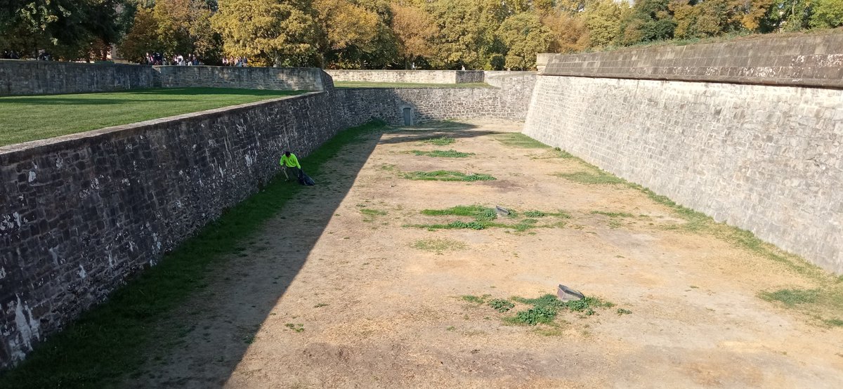 dut1977's tweet photo. Vengo de la ciudadela con muchas ganas de llorar. El estropicio es bastante mayor al que pensaba. Vergonzoso que hayáis permitido esto. @Pamplona_ayto https://t.co/1bGCWj3PDZ