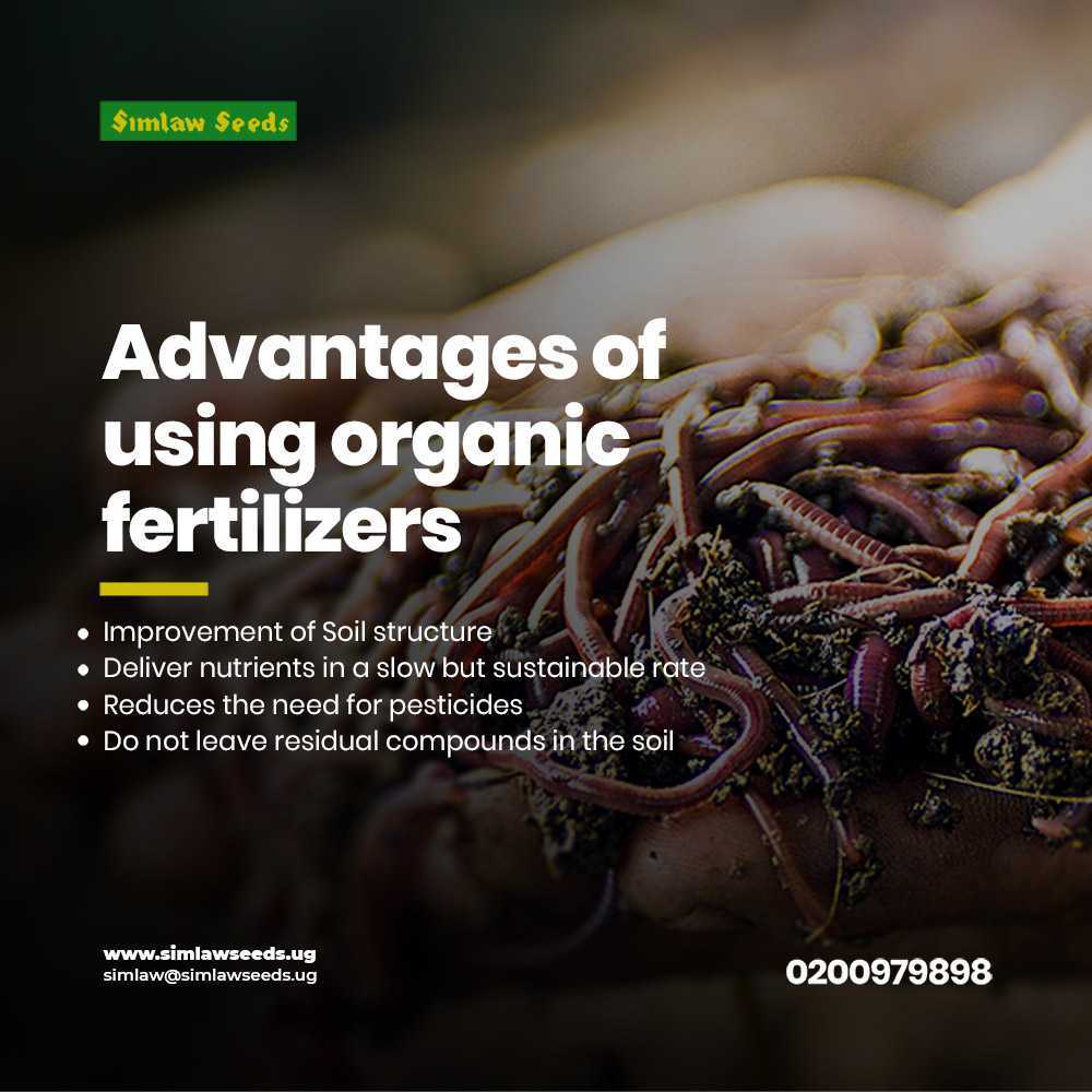 simlawseedsug's tweet photo. Organic fertilizers come with a tone of benefits to the soil and plants. #simlawseeds #fertilizers #topqualityseeds https://t.co/As7pHF9LSU