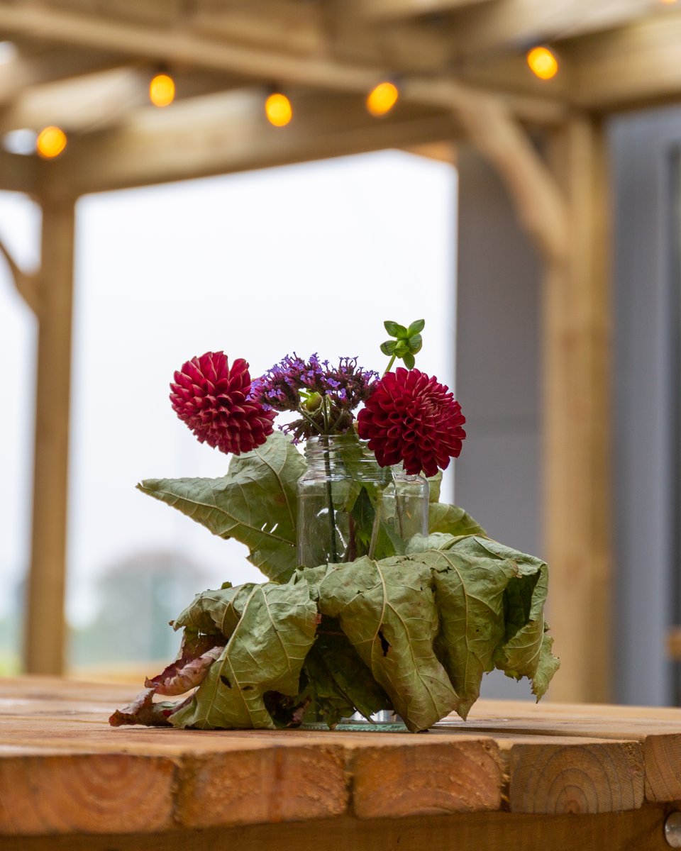 Wicklow Wolf Taproom tweet media