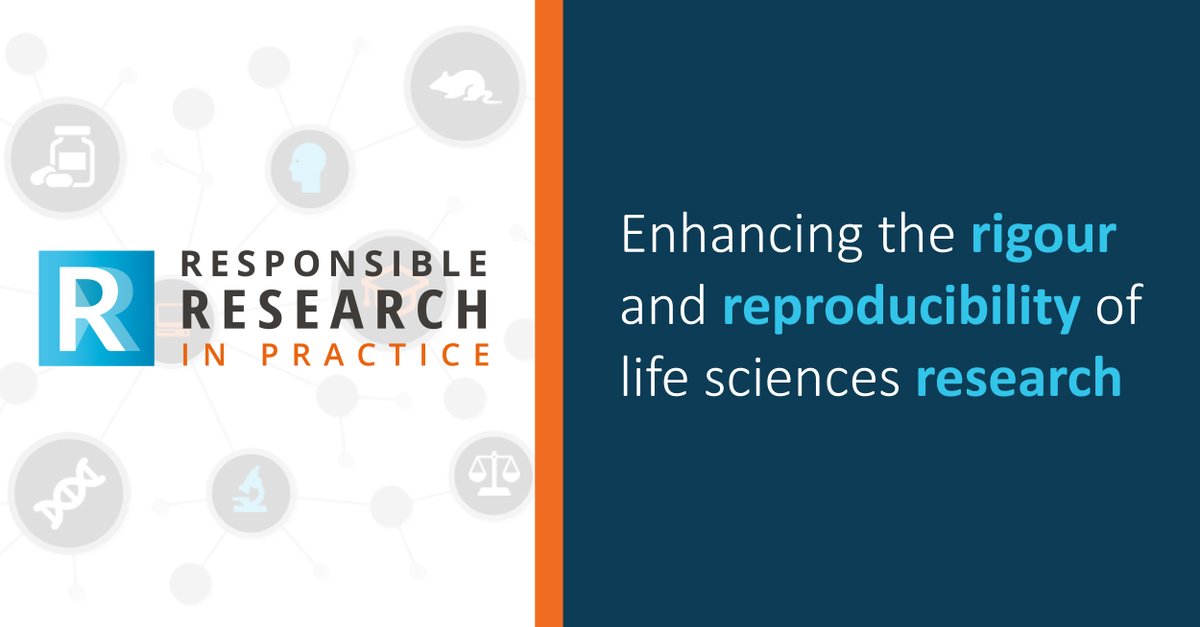 Nikki Responsiblear Twitter