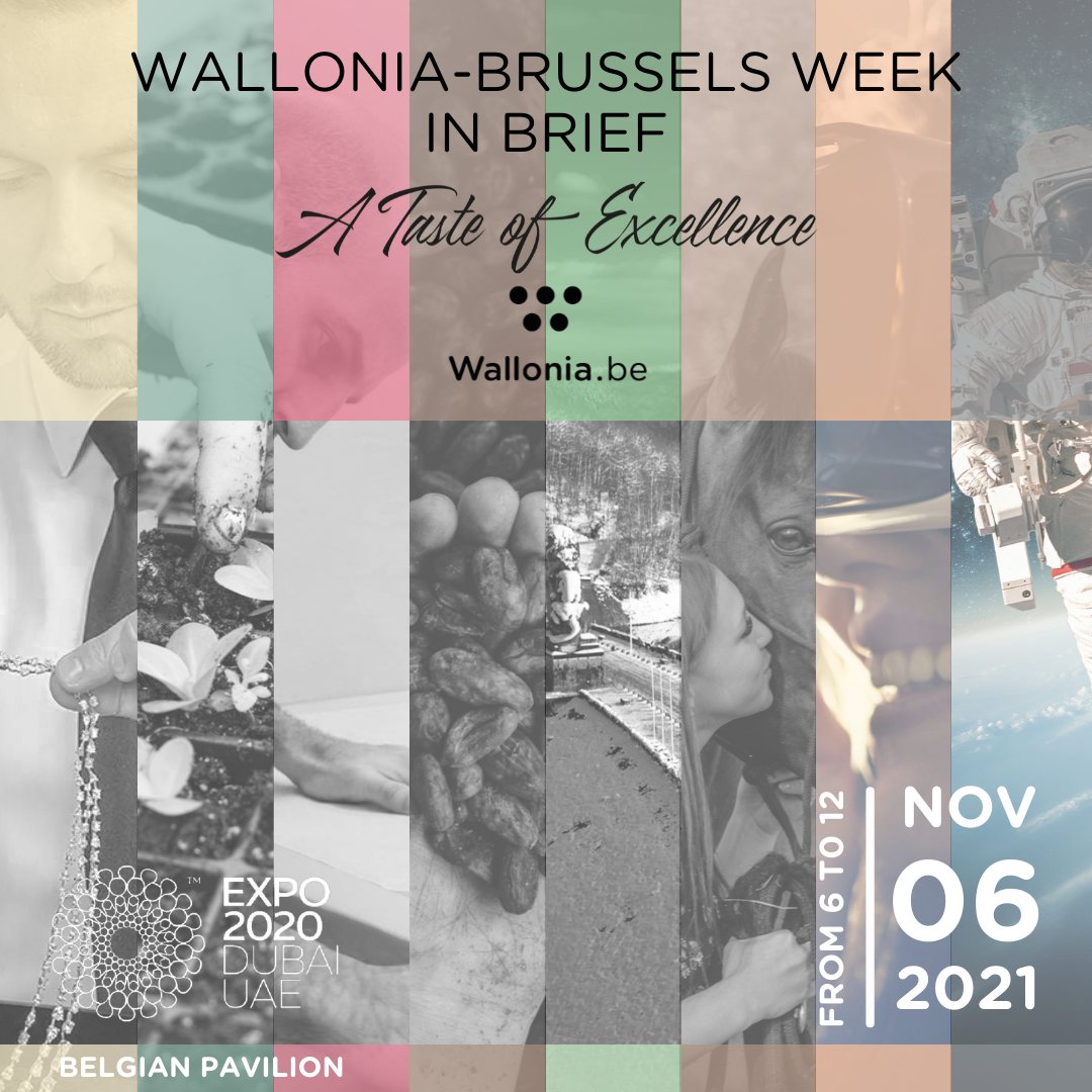 In the coming days, we will highlight all the sectors present at our ✨#WalloniaBrusselsWeek✨ in the @BEpavilion2020 on the @expo2020dubai  from November the 6th to 12th 2021 🇧🇪🙌

Subscribe for each and every event you're interested in on this Link ➡ linktr.ee/awexuae