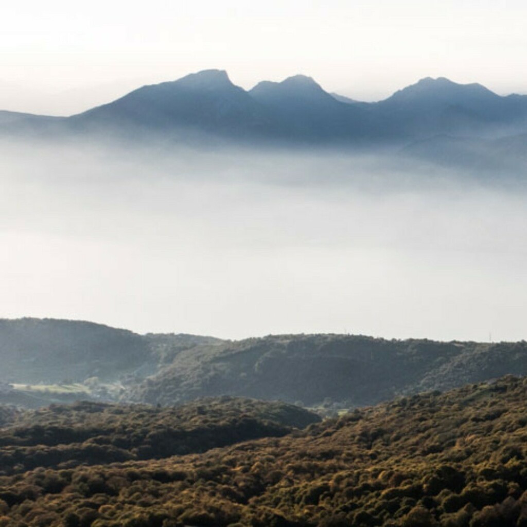 LPCNC's tweet photo. “TENGO I GIORNI CHIARI, QUELLI SCURI LI RENDO AL DESTINO”.
cit. Zsuzsa Bánk
#nature #trekking #italy #montebaldo #martvisualdesign #photographer #clouds #walking #travel #sky #goodvibes #colors #light #landscapes #travelphotography #landscapephotography #martvisualdesign https://t.co/6z67zwTf0Z