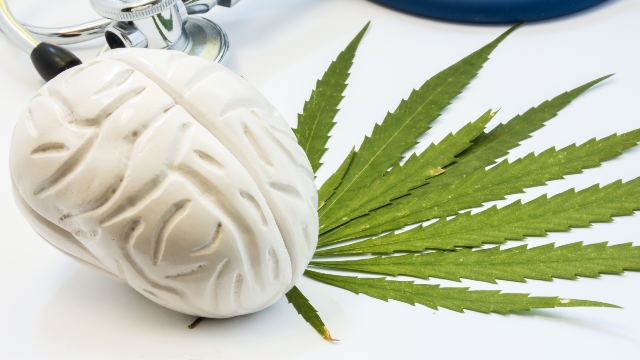 fundacioncanna's tweet photo. The properties of three lesser-known #cannabinoids may help to explain why #cannabis extracts can be an effective treatment for #epilepsy, say pharmacologists at the University of Sydney
#CBGA #CBDVA #CBGVA
https://t.co/2oUV7SwqVt https://t.co/53bbeIFw0c