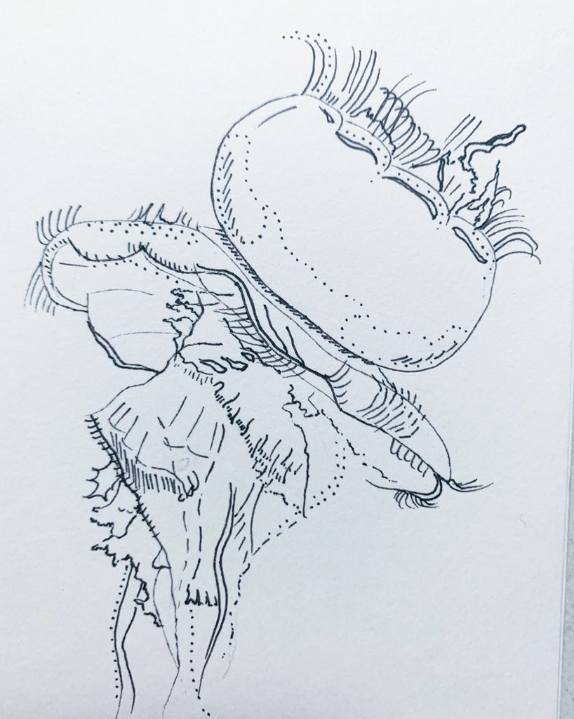 BLouDesign's tweet image. 17. Collide #inktober #inktober2021