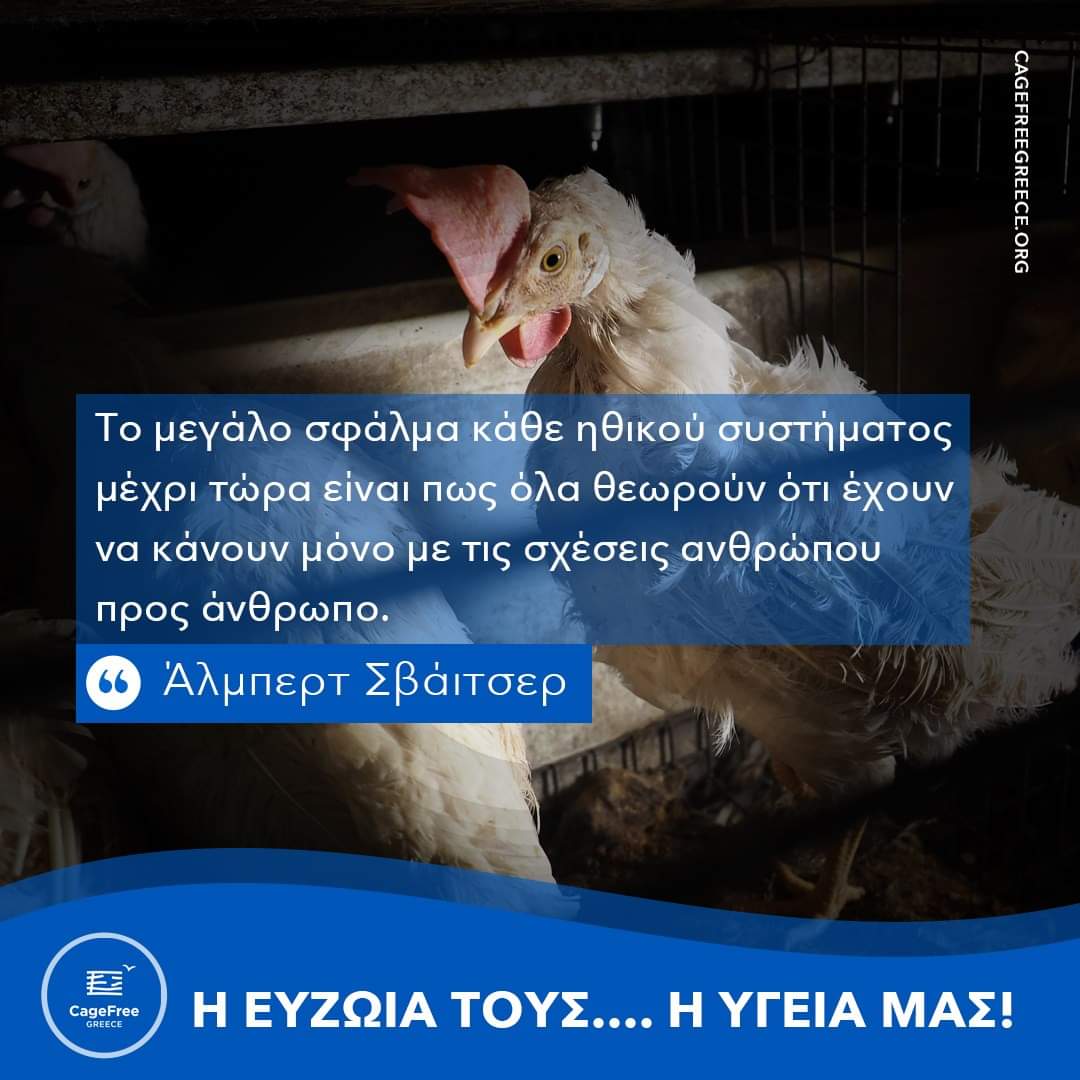 Hellenic Animal Welfare Federation on Twitter: Hellenic Animal Welfare Federation on Twitter: