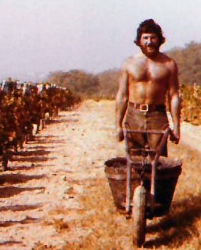 im_silverfox's tweet photo. 1978 #PreEU #PreBrexit #grapepicking #vendange
Freedom of movement to France meant we could go and pick grapes for a few weeks, make enough money to spend winter in Morocco https://t.co/Yhdy7uO7Bw