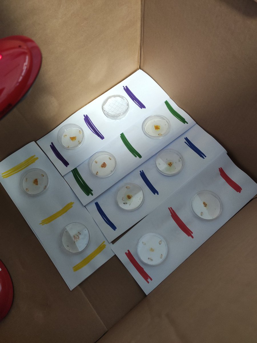 Céline Famelart-Gohier (@famelartg) on Twitter photo Les scientifiques de la classe des CM2 de l'école du Bois de Breuil en action , expérimentations lancées ...<a href="/Thom_astro/">Thomas Pesquet</a> <a href="/DSDEN_Aisne/">DSDEN de l'Aisne</a> #ElèveTonBlob <a href="/CNES/">CNES</a> <a href="/CNRS/">CNRS 🌍</a> <a href="/villedelaon/">Ville de Laon</a> Les scientifiques de la classe des CM2 de l'école du Bois de Breuil en action , expérimentations lancées ...<a href="/Thom_astro/">Thomas Pesquet</a> <a href="/DSDEN_Aisne/">DSDEN de l'Aisne</a> #ElèveTonBlob <a href="/CNES/">CNES</a> <a href="/CNRS/">CNRS 🌍</a> <a href="/villedelaon/">Ville de Laon</a>