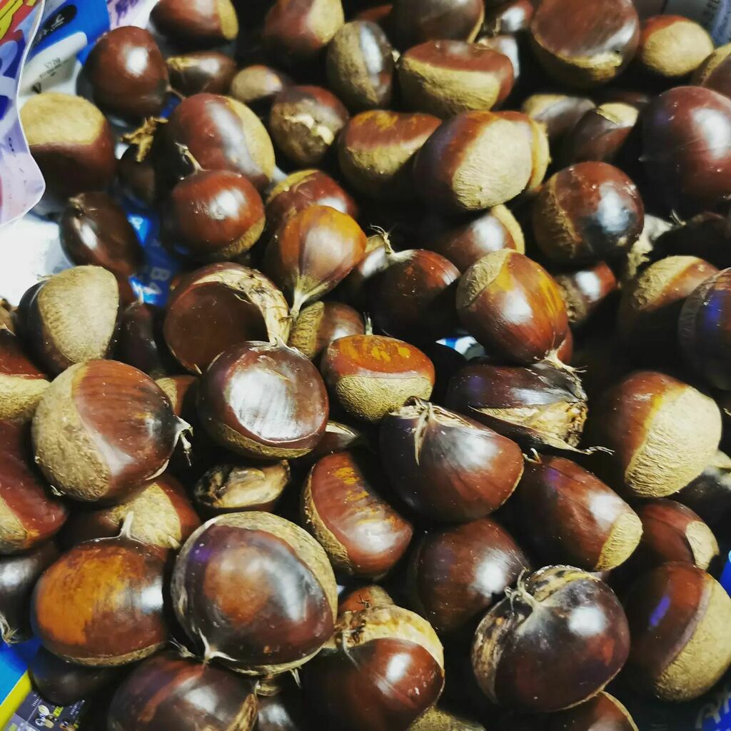 やまぐり Twitter Search Twitter