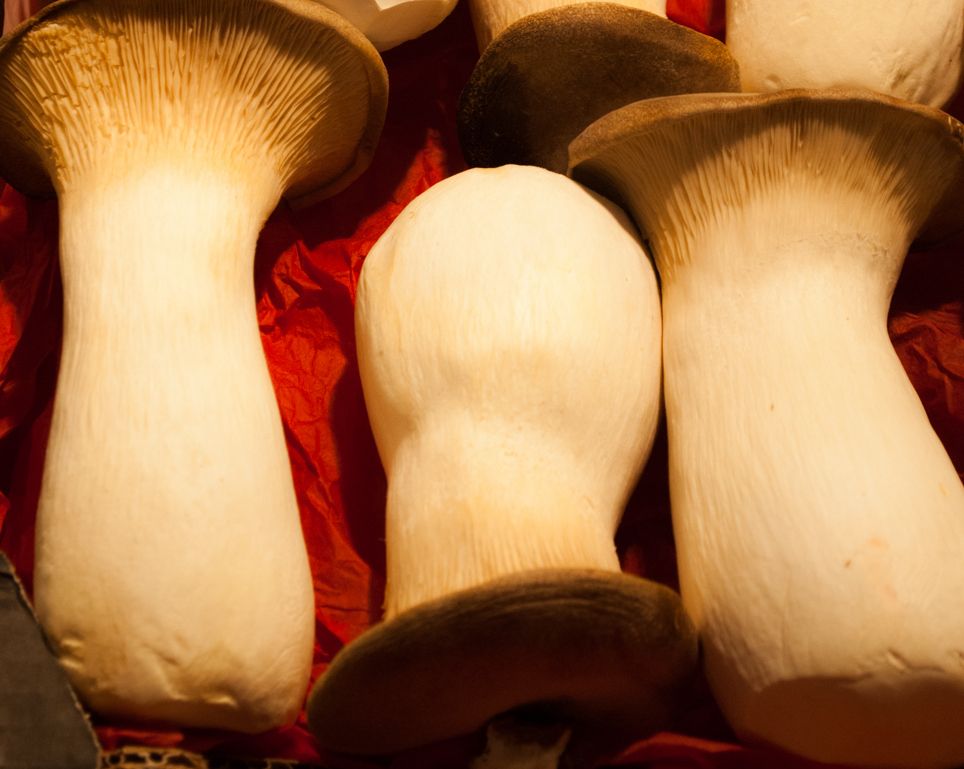 Una de las muchas cosas buenas del otoño es la temporada de setas, un manjar de nuestras sierras, de muestra estos boletus ¿cómo te apetecen? A la plancha, revueltos con huevo, risotto, con carnes o pescados 😋 😋 😋 Ven al Mercado de la Encarnación. ¡Te esperamos!
📷 Tania Valle