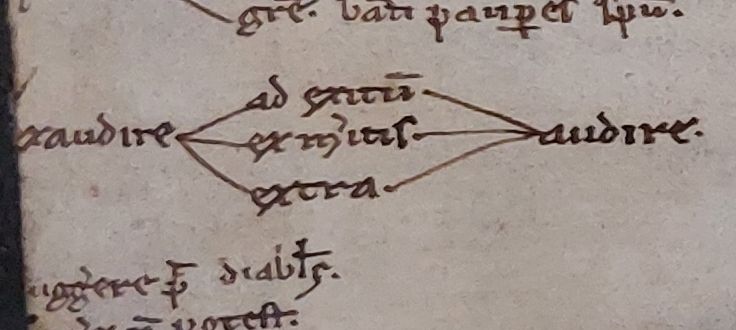 MMFCbe's tweet photo. We love these medieval diagrammatic word explanations! An in-situ fragment of a glossed Bible (Psalms 101). Rijksarchief Gent, Archive of the convent of Sion Oudenaarde, no 1 (lower pastedown). #fragmentology https://t.co/wXKI6gWIjY