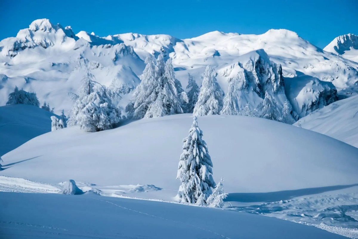 Muntania's tweet photo. Aosta se presenta como un paraíso para las raquetas de nieve. Con sus grandes bosques, rodeados de impresionantes circos glaciares y coronados por escarpadas cimas hacen que el ambiente sea espectacular. https://t.co/6v41DIk35W #raquetasdenuieve #valledeaosta #alpes https://t.co/2PiNp2Hn7O