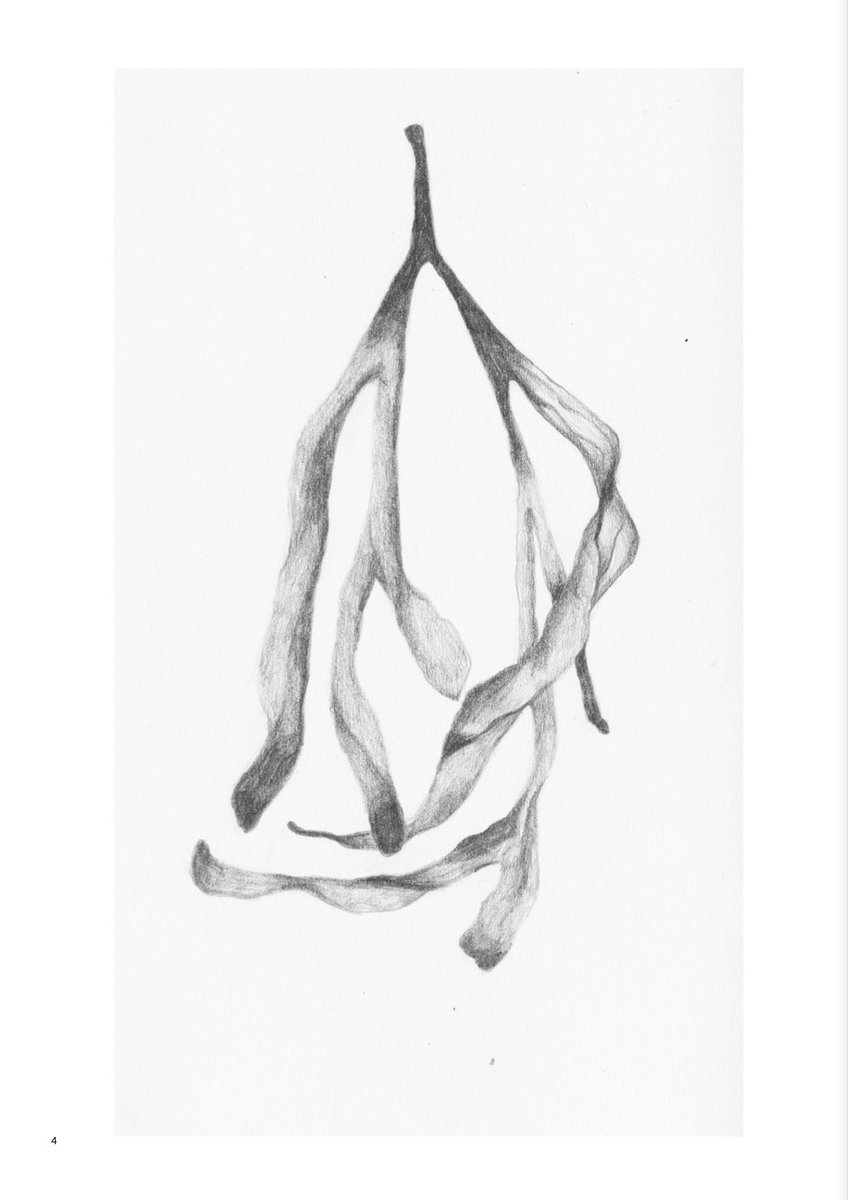 debil0s's tweet photo. nature morte https://t.co/CiGRwGqP0a