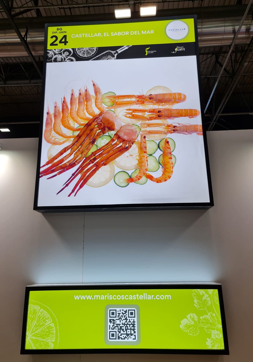 MCastellarSL's tweet photo. 📌Nos encontramos en el stand 8G-DIP. JAEN-24 de la Diputación de Jaén en @SalonGourmets con las tendencias en #productosdelmar más buscadas.
👀Si eres profesional de la gastronomía, pásate y visítanos.
¡Te esperamos!😊
#MariscosCastellar #ElSaborDelMar #Ferias #salongourmets https://t.co/bTtMphURcJ