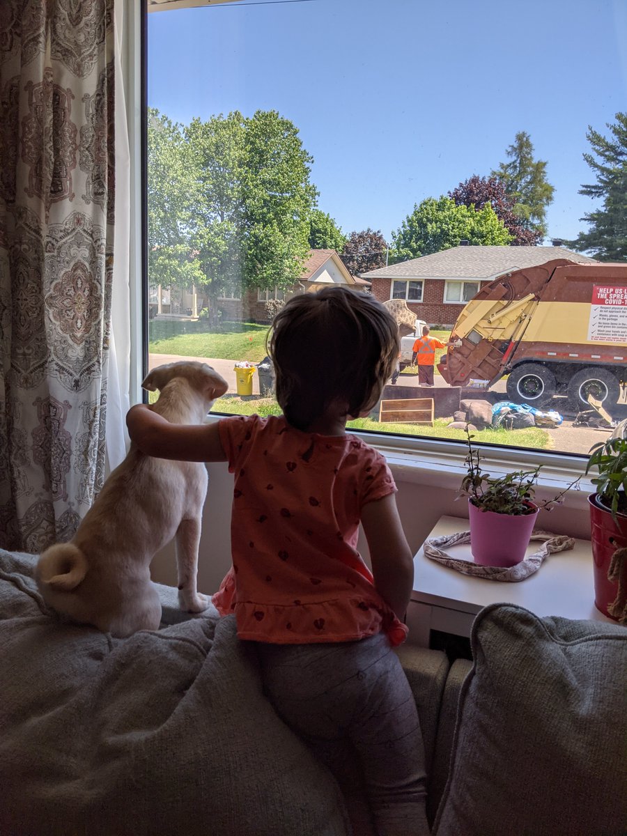 FrasSpaz's tweet photo. My Munchkin in 3!!!
I love spending my afternoons with you, watching you grow and become so caring, funny and so FREAKIN Smart! :) Love you Bella Bean! <3
#ILASER #Bella #Birthday https://t.co/97kT2HzOPC