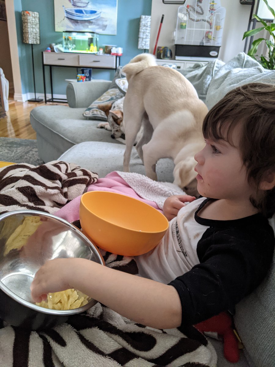 FrasSpaz's tweet photo. My Munchkin in 3!!!
I love spending my afternoons with you, watching you grow and become so caring, funny and so FREAKIN Smart! :) Love you Bella Bean! <3
#ILASER #Bella #Birthday https://t.co/97kT2HzOPC