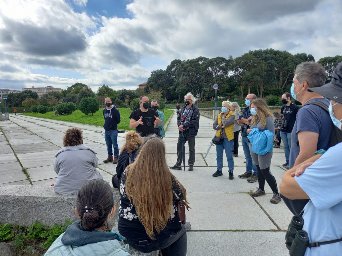 Colectivo das Pedras Galladas tweet media