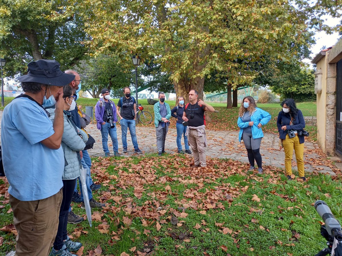Colectivo das Pedras Galladas tweet media