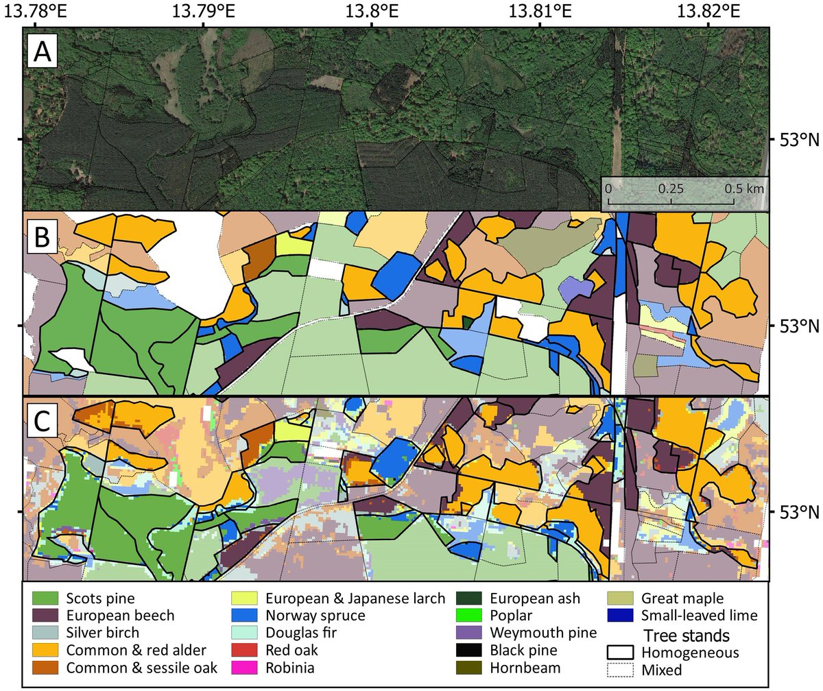Check out our new #RSE paper on mapping temperate tree species with #sentinel2 time series:
authors.elsevier.com/a/1dvRS7qzSto9S
(1/4)