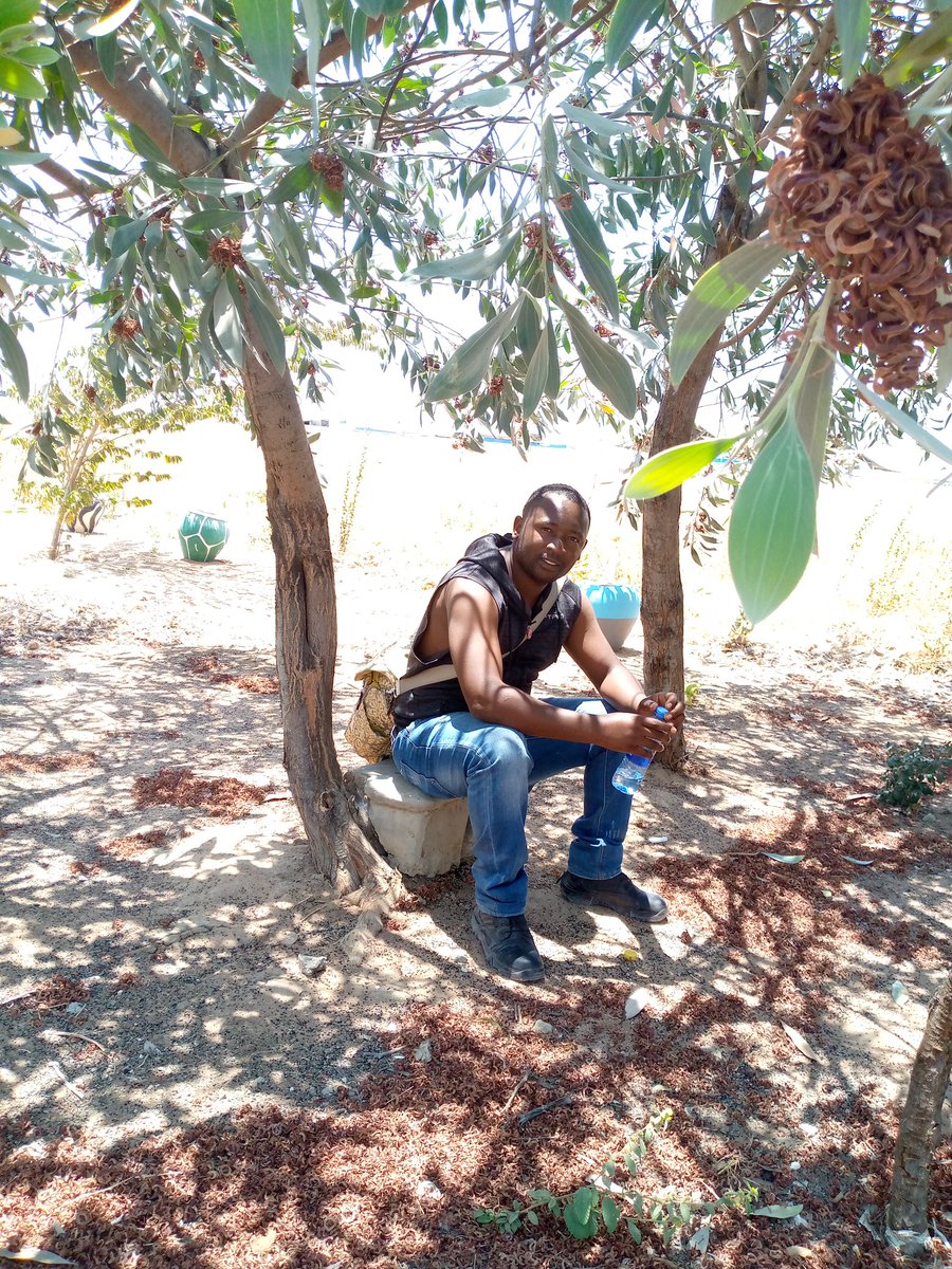 Mama Lau tweet media