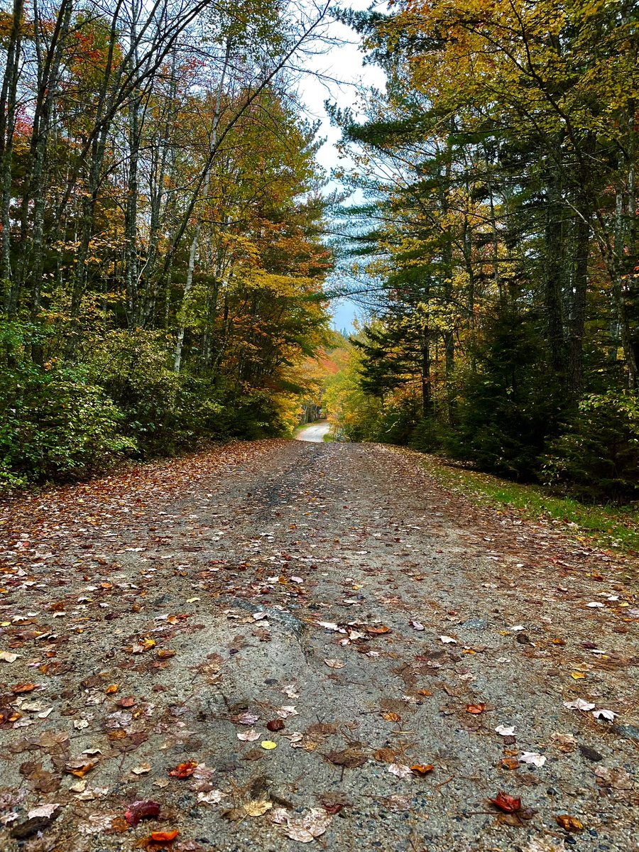 kelishes's tweet photo. It was a great weekend to take in some colour in @VisitNovaScotia #nsleafwatch https://t.co/CKiRHtYXph