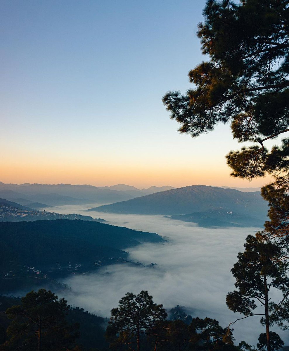 gostopsofficial's tweet image. Home to deodar trees and pine forests🍂🌳, the heights of Kasar Devi offer the best scenic landscapes in Uttarakhand. 😍🌄
.
.
.
.
 #goSTOPS #goSTOPSkasardevi #kasardevi #kasardevialmora #weekendtrips #almora #almorahills #thegreatoutdoors #hillstationsofindia #uttarakhandheaven