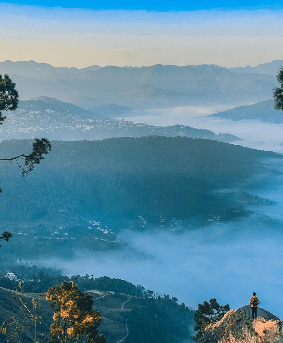gostopsofficial's tweet image. Home to deodar trees and pine forests🍂🌳, the heights of Kasar Devi offer the best scenic landscapes in Uttarakhand. 😍🌄
.
.
.
.
 #goSTOPS #goSTOPSkasardevi #kasardevi #kasardevialmora #weekendtrips #almora #almorahills #thegreatoutdoors #hillstationsofindia #uttarakhandheaven