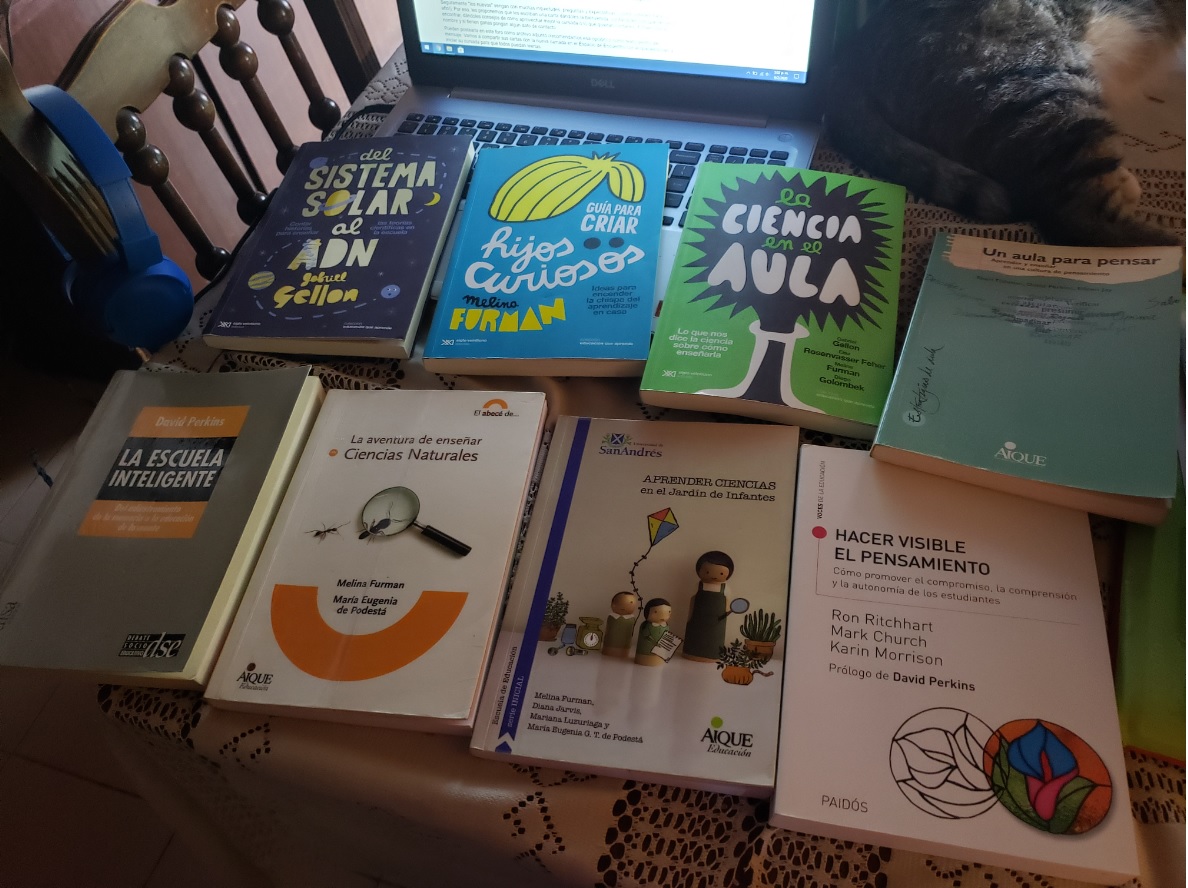 Melina Furman tweet media