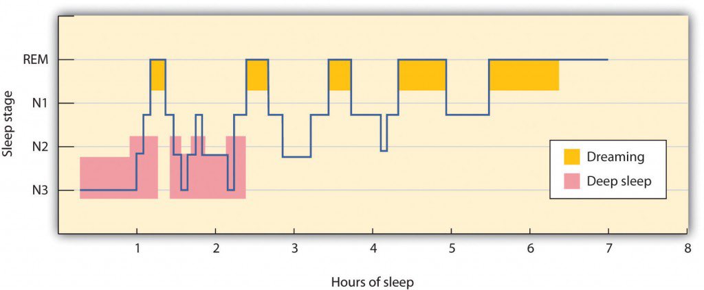 During a typical night, our sleep cycles move between REM and non-REM sleep, with each cycle repeating at about 90-minute intervals.