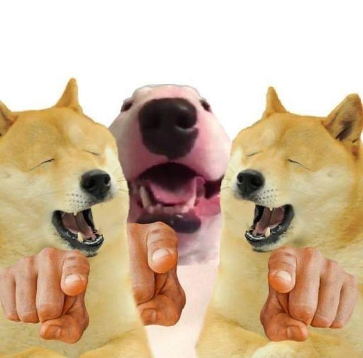 FB-sHJwVEAAr4Gk.jpg