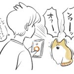 アプリを起動した途端に･･･!猫が何を言おうとしているのかアプリで確かめようとしたときのお話!