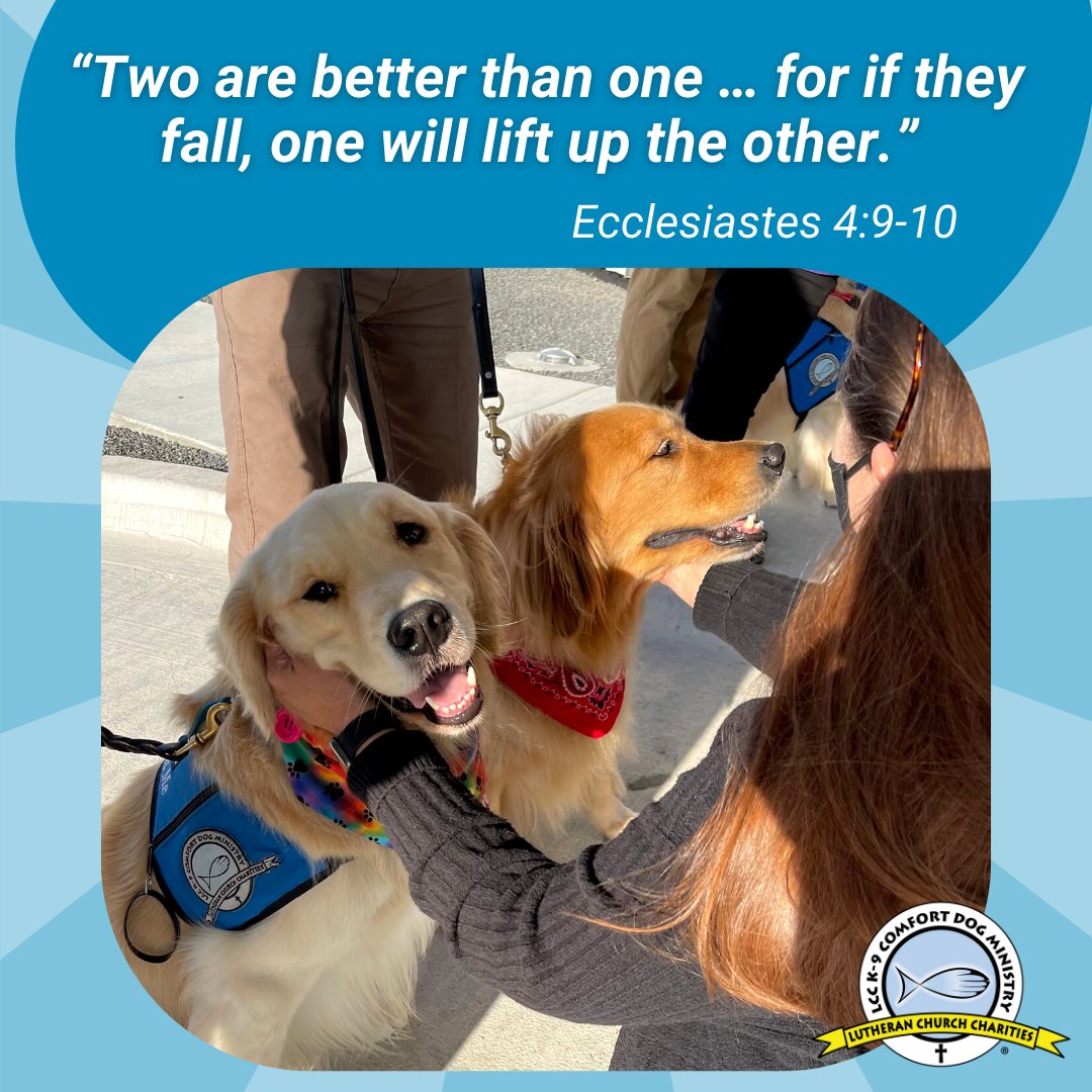 K9ComfortDogs's tweet photo. You are not alone! 

#lcck9comfortdogs #helpothers #lutheranchurchcharities #comfortdog #comfortothers https://t.co/CPWFrYku5b