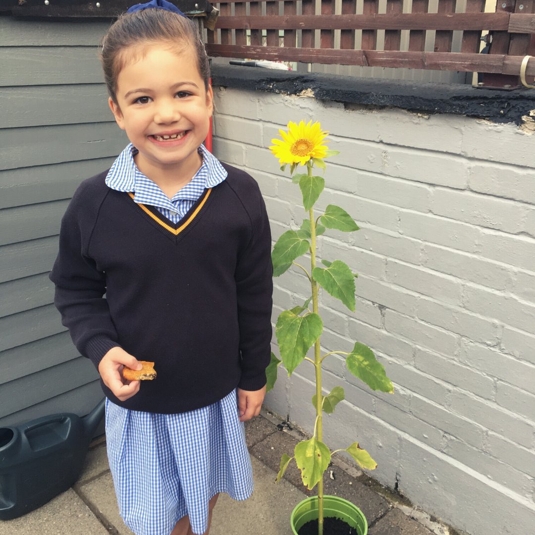 Mill Gate tweet media