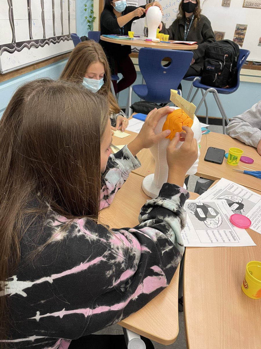 Early morning brain activity @TeachMitch <a href="/MitchBickman/">M Bickman</a>