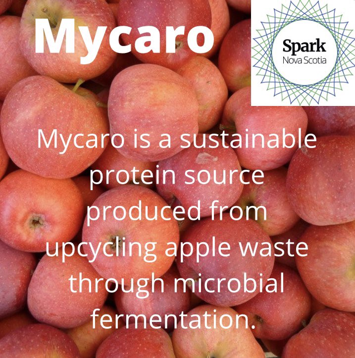 Meet some of the Southwest finalists, starting with Mycaro by Katherine Mcneill! 

#SparkNS #Business #BusinessCanada #nsbusiness