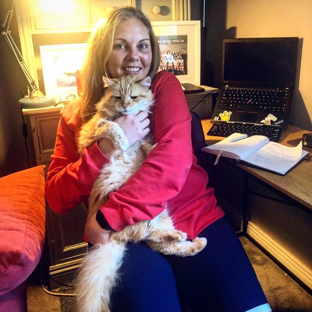 Just Ruth tweet media