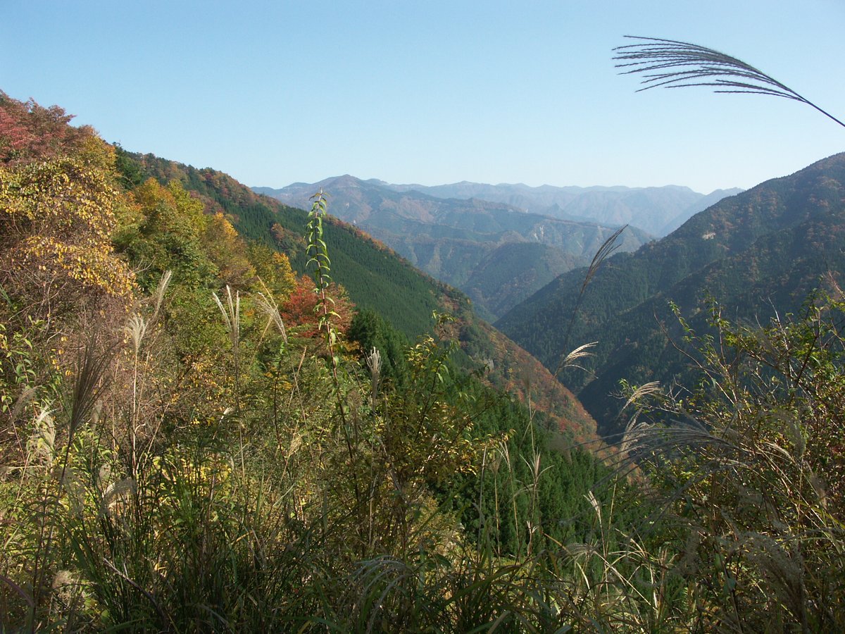 Hosomichi_13's tweet photo. 紅葉の入り口くらいかな、寒暖差の大きい場所なので最盛期は相当きれいだと思います。さくらもそうですが、本当の見頃は一瞬で終わってしまいます。そのときに巡り会えるかどうかも、運ですね。2005-11-5 #奈良 #上北山 #国道 #r309 #紅葉 #archive https://t.co/Gj0u69u67s