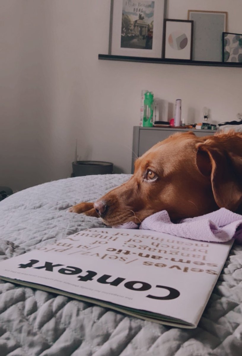 Slow Saturdays mind stretching with #context a cuppa and an extra cute companion!