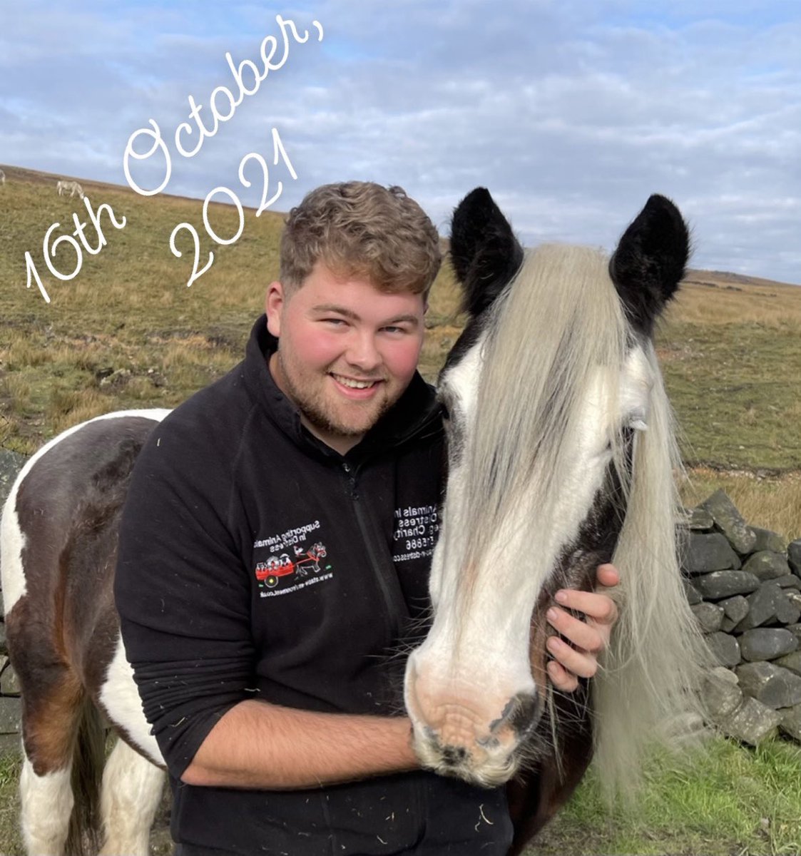 Conr658's tweet photo. 4 years apart, Beautiful Kashmere 🥰 #horses #animalsindistress https://t.co/LbzgUYIP3n