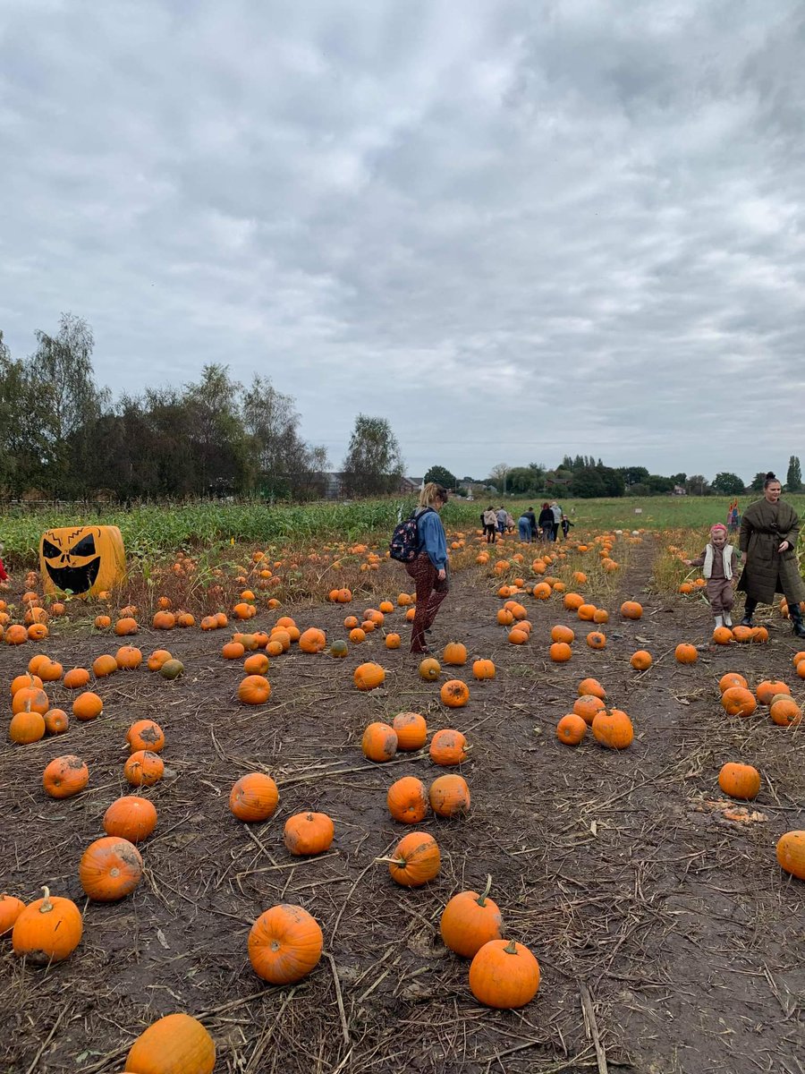 jade 🌞🍭💛 tweet media