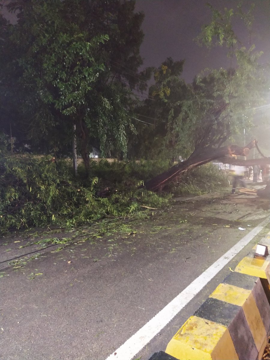 ArbaazTheGreat1's tweet photo. A big tree falls before Amberpet Police station , as Amberpet Received 10cm rain fall....As Soon As Information reached to @Director_EVDM officials they reached the spot and removing it.
#HyderabadRains #TreeFelldown
@sushilrTOI @CoreenaSuares2 @HiHyderabad @swachhhyd https://t.co/ebbJr7bkoJ
